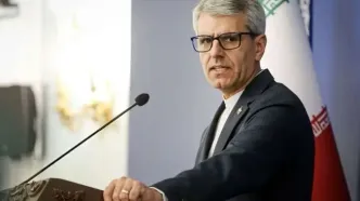 بقایی: مواضع چین و روسیه را رصد می‌کنیم