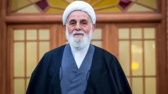 ناطق نوری انتخاب آیت الله مجتبی خامنه ای را به رهبری انقلاب اسلامی تبریک گفت