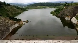 زنگ خطر تنش آبی در شالیزارهای مازندران