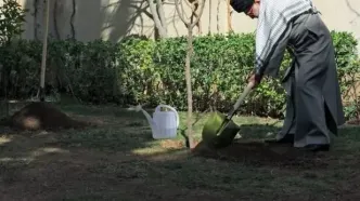 درخت‌ها خواهند رویید تا انتقام خونت را بگیرند