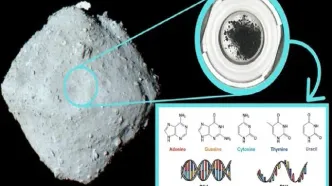 کشف اجزای کلیدی «دی‌ان‌ای» انسان در یک سیارک در عمق فضا