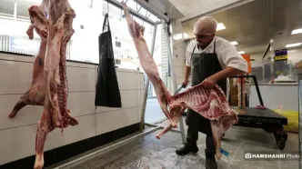 قیمت جدید گوشت قرمز در بازار اعلام شد