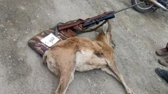 کشف اسلحه و لاشه قوچ وحشی از شکارچیان غیرمجاز در منطقه حفاظت شده ورجین شمیرانات