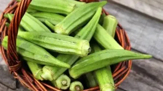 دیابتی ها بخوانند؛ 18 دلیل برای قرار دادن بامیه در رژیم غذایی