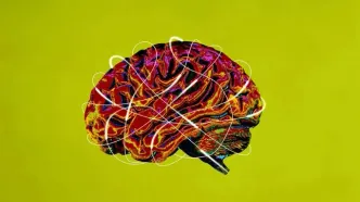 مغزتان را بیمه کنید؛ توصیه‌هایی که خودِ جراحان مغز به آن پایبندند