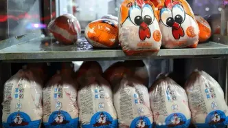 قیمت انواع مرغ ۱۷ اسفند ۱۴۰۴