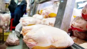 قیمت جدید خرید مرغ گرم تعیین شد