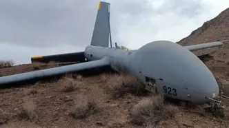 سپاه پهپاد هرمس شکار کرد/ عکس