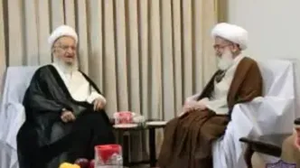 تاکید آیات عظام مکارم شیرازی و نوری همدانی بر تسریع در انتخاب رهبری