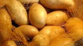 تشکیل پرونده قضایی برای گران فروشی سیب زمینی