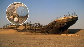 گنج طلای ۵۰۰ ساله در بیابان پیدا شد