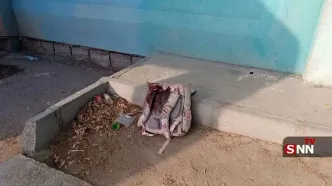 واکنش سخنگوی سنتکام به حمله به مدرسه دخترانه