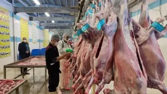 آخرین وضعیت تأمین گوشت قرمز به گفته وزیر جهاد کشاورزی
