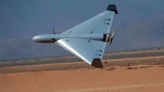 ارتش: پهپاد لوکاس آمریکایی را منهدم کردیم