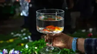 حال‌وهوای شب عید در بازار تجریش