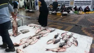 قیمت انواع ماهی ۱۷ اسفند ۱۴۰۴