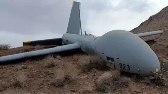 یک فروند پهپاد هرمس ۹۰۰ در آسمان استان فارس منهدم شد