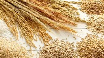 اتفاق بی‌سابقه در دریای خزر / این محموله بزرگ به جای جنوب از شمال وارد ایران شد