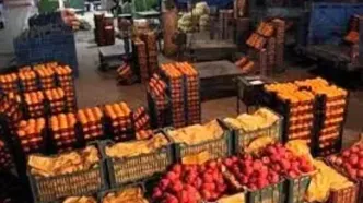 آغاز توزیع گسترده میوه شب عید/ افزایش سه برابری مراکز عرضه