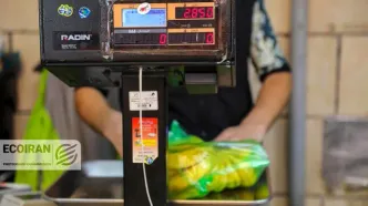 عرضه میوه شب عید در سراسر کشور آغاز شد