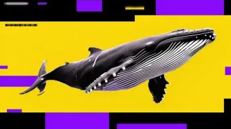 بیت‌کوین در دوراهی ۶۰ هزار دلار یا شکست ۷۴ هزار دلار | نهنگ‌ها سودهای خود را فروختند | دو سناریوی محتمل از آینده بیت‌کوین