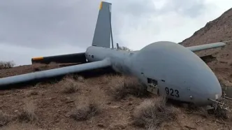 سپاه پهپاد هرمس شکار کرد