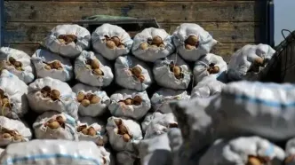 ممنوعیت صادرات تخم‌مرغ، سیب‌زمینی، گوجه و خرما