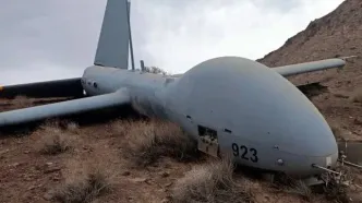 پهپاد هرمس ۹۰۰ ارتش صهیونیستی بصورت سالم و کاملا مسلح شکار شد