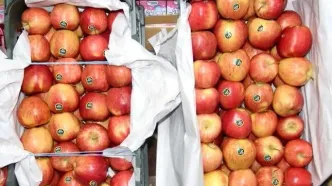 قیمت عمده‌فروشی میوه و سبزیجات تا ۲ فروردین