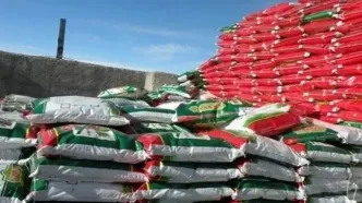 بمب ساعتی زیر سفره‌های جهانی؛ وقتی قیمت نان جهان در تنگه هرمز تعیین می‌شود/ عبور یک‌سوم تجارت جهانی اوره از گلوگاه استراتژیک هرمز، اکنون به پاشنه آشیل امنیت غذایی تبدیل شده است