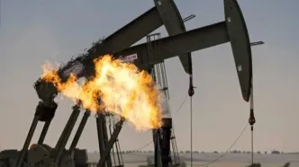 معامله‌کنندگان عمانی: نفت برای فروش دارید، ۲۰۰ دلار خریداریم