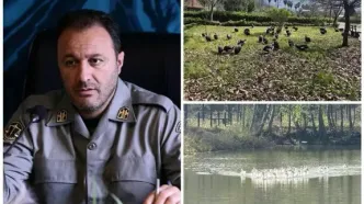 انتقال موقت پرندگان باغ پرندگان لویزان به مازندران برای حفاظت در شرایط جنگی