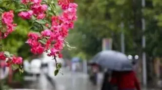 آغاز مجدد بارش در تهران در آخرین روز سال