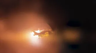 اردوگاه نیروهای آمریکایی در اردن آماج حملات پهپادی ارتش