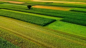 معاون سازمان امور اراضی به شهادت رسید