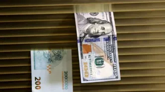 ارز واردات این کالا دوباره 28500 تومان شد