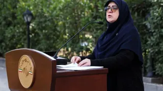 سخنگوی دولت: دولت آماده است تا برای عزت کشور و ملت، نه فقط فحاشی و سنگ، بلکه «گلوله» هم بخورد