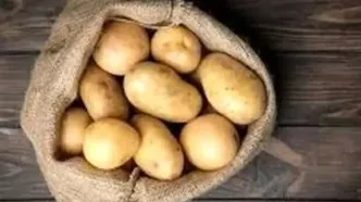 تشکیل پرونده قضایی برای گران فروشی سیب زمینی