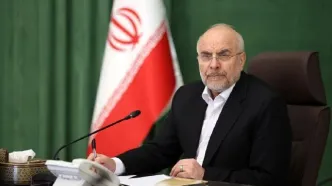 قالیباف یک توئیت جدید زد