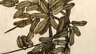 بازدید بیش از ۵۰ هزار گردشگر از جاذبه‌های تاریخی و گردشگری آذربایجان غربی