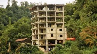 سرعت تغییر کاربری «شمال» ‌/ آیا «مهاجرت‌های جنگی» به استان‌های شمالی به «تشدید جنگل‌خواری» منجر می‌شود؟