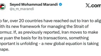 دکتر مرندی: تماس‌ها با ایران برای پذیرش قواعد جدید اداره تنگه هرمز افزایش یافته است