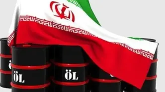 واکنش تریتا پارسی به تصمیم وزارت خزانه داری آمریکا درباره نفت ایران