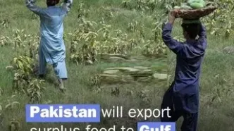 کنترل هرمز توسط ایران؛  پاکستان به‌دنبال صادرات اضطراری غذا به کشورهای خلیج فارس