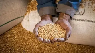 مبلغ فطریه امسال از سوی مراجع عظام اعلام شد