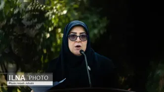 قدردانی سخنگوی دولت از هنرمندان هنرهای نمایشی