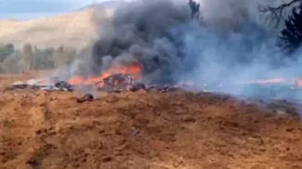 فوری؛ انهدام پهپاد MQ9 در آسمان تهران و بوشهر