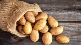 قیمت جدید سیب‌زمینی اعلام شد/ بازار به تعادل رسید؟