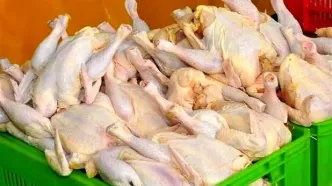 قیمت جدید مرغ اعلام شد