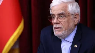 عارف: مشکل چک‌های برگشتی و انسداد حساب‌ها به‌زودی برطرف می‌شود